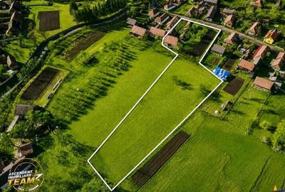 FILM! Constructie cu facilitati, teren productiv de 6.221 mp, Lemnia, Covasna - 15
