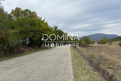 Vânzare teren 13.000 mp - Runcu-Suseni - oportunitate turistică - 3