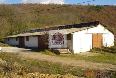 Fost hangar nautic de renovat – oportunitate de investiție! - 3