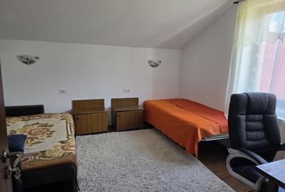 Casă de vânzare cu 4 camere, garaj și teren de 766 mp – Sărata, Piatra Neamț - 8