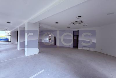 Spatiu comercial 220 mp cu curte si terasa, Sector 1 - 6
