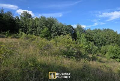 De vânzare teren extravilan  8,2037 ha pădure și pășune Borod, Bihor - 8