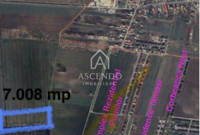 Teren agricol extravilan de 7000 mp, în Tamași