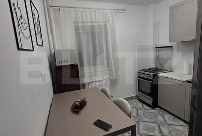 Apartament 1 camera, 42 mp, pet-friendly, zona Mehedinti - 5