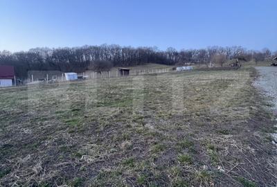 Teren Construcții extravilan de 738 mp, în Nord