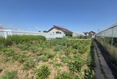 Proprietate 2.229 mp cu Dotări pentru Afacere Florală - 13