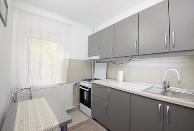 Garsonieră  proaspăt renovată, etaj 1, Dristor - Agatha Bârsescu - 5