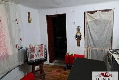 Casa de vanzare in Ciugud -1000 mp teren - 4