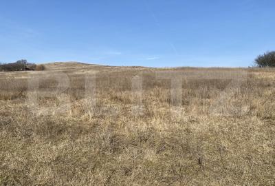 Teren agricol extravilan de 140551 mp, în Recea