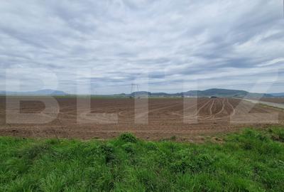 Teren agricol extravilan de 15000 mp, în Hărman
