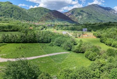 Teren 500mp Tohanita (intre castelul Bran si Zarnesti), padure + parau - 13
