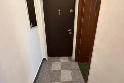 Baba  Novac Dristor Muncii - FARA INTRETINERE - Gradina proprie de 30MP - 5
