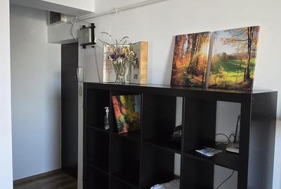 Tineretului-Dimitrie Cantemir, garsoniera de inchiriat, 2/5, an 2012, centrala - 3