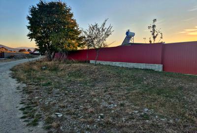 Teren 1450 mp intravilan, construibil Carpinis - 6