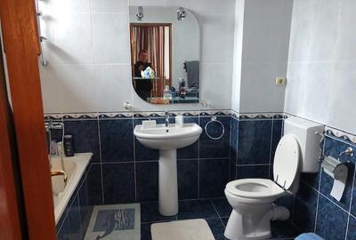 Vila de vanzare   Iancu Nicolae   Serban Cantacuzino - 18