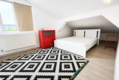 Apartament fain (living-bucatarie, dormitor) zona Auchan Iris - 3