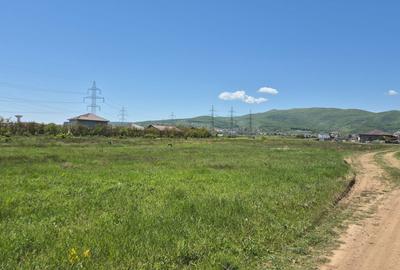Teren Construcții de 450 mp, în Ampoi 3