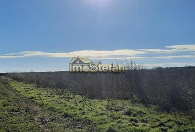 Teren Intravilan Vama Veche | 7.495 mp | Oportunitate Investiție - 7