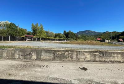 Spațiu industrial, de 1,210.00 mp, în Ferneziu