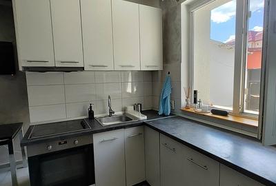 Duplex - Pet Friendly - curte proprie – Tei - 15