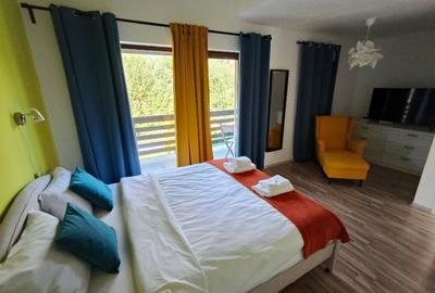 Vila tip duplex P+E+M de vanzare in Busteni cu vedere deosebita catre Caraiman! - 8