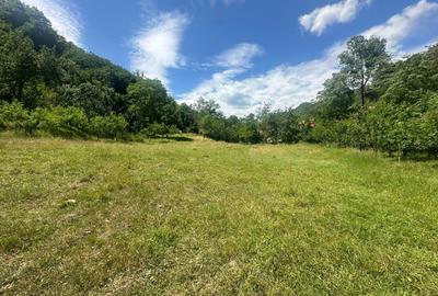 Teren Intravilan 700 mp| Ideal pentru cabana| zona Valea Vintului - 1