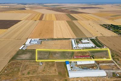 Cogealac - Tariverde – Ferma cu teren intravilan, utilitati racordate! - 5