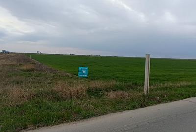 Teren extravilan 5 hectare ( zonă industrială ) Șag - 8