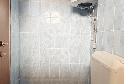 Apartament de 38 mp + terasa in Sanmartin, Bihor - 13