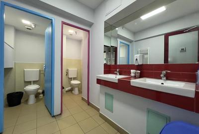 Spatii birouri bd. Socola, langa Jumbo, de la 60mp la 900mp - 11