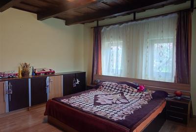 Casa cu gradina si foisor in Brazii Arad - 5