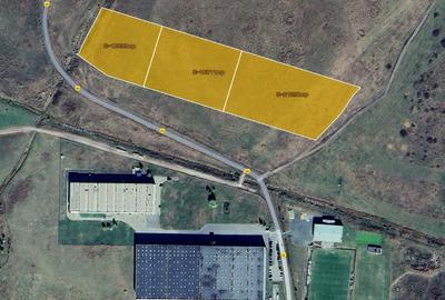 Teren Industrial – 5 Ha – Săcălaz - Comision 0% - 1