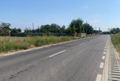 Teren Construcții intravilan de 10000 mp, în Niculești