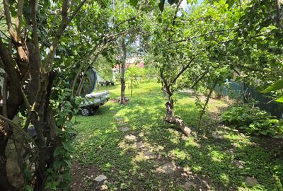 Apartament cu 4 camere , garaj si teren de 420 mp de vanzare zona Sub Arini - 15