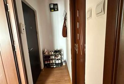 Apartament 1 camera Nicolina-Prima Statie, ETAJ 1, ideal investitie - 6