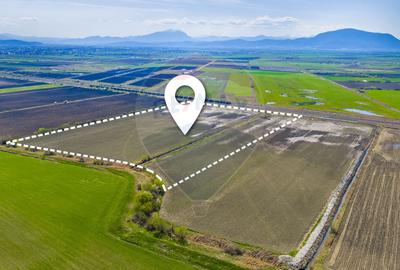 Teren agricol extravilan de 92000 mp, în Bod