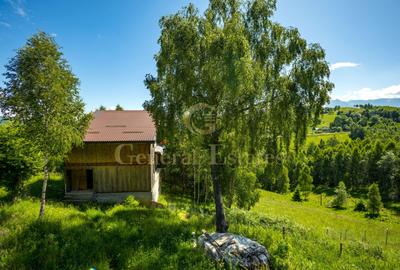Casă de Vânzare în Moieciu de Jos, Brașov | Vilă Mobilată + Casă Nouă - 18