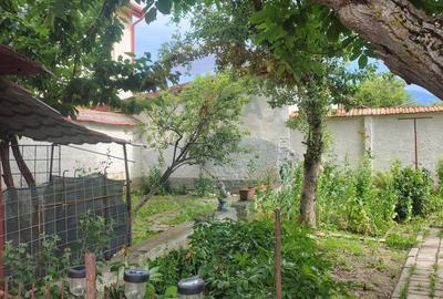 Casă individuala cu vedere catre muntii Postavaru de inchiriat - 17