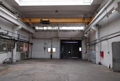 Hala de închiriat, 2300 mp, Depozitelor, Pitesti, cu pod rulant de 8 t - 11