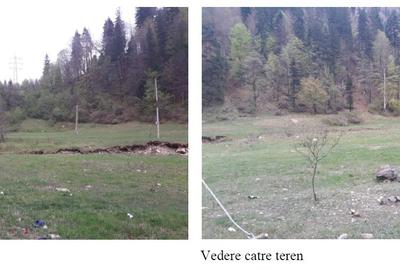 De vanzare teren intravilan 4.500 mp, Timisul de Jos, langa DN1 si PETROM - 1