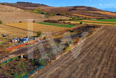 Teren intravilan 2.000 mp, PUZ aprobat  Strada Viile Sibiului Sibiu -DN14 - 12