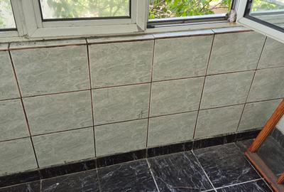 Apartament cu 3 camere semidecomandat Alexandru cel Bun, Minerva lângă bulevard - 13