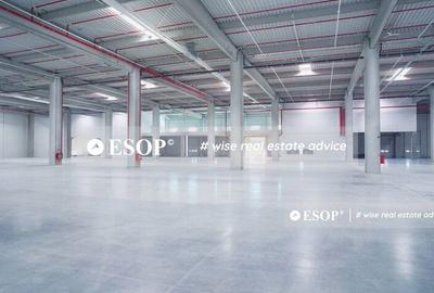 Spatii activitati industriale in Logicor Mogosoaia, 2.000 - 38.000mp - 2