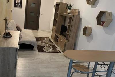 Apartament 2 Camere Valea Lupului - Carrefour Express - 5
