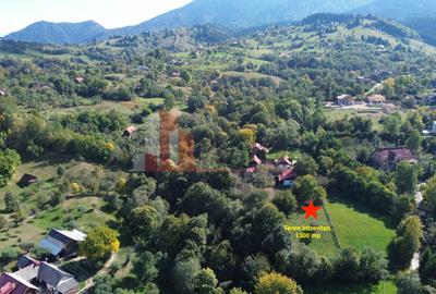 Teren intravilan 1300 mp | Vedere Piatra Craiului | Bran Poarta - 4