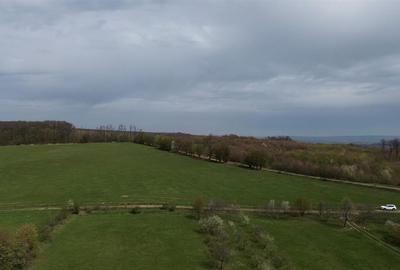 Teren intravilan 5800 mp Mitocasi - Suceava! - 14