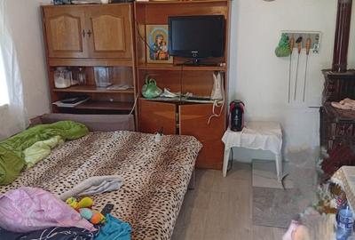 Proprietate de vanzare in Golești - 10800 mp teren și două case - 10