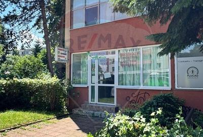 Spațiu comercial, de 60 mp, în Gemenii