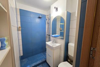 2 camere - Ion Berindei - Colentina - 9