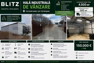 Spațiu industrial, de 180.00 mp, în Exterior Sud